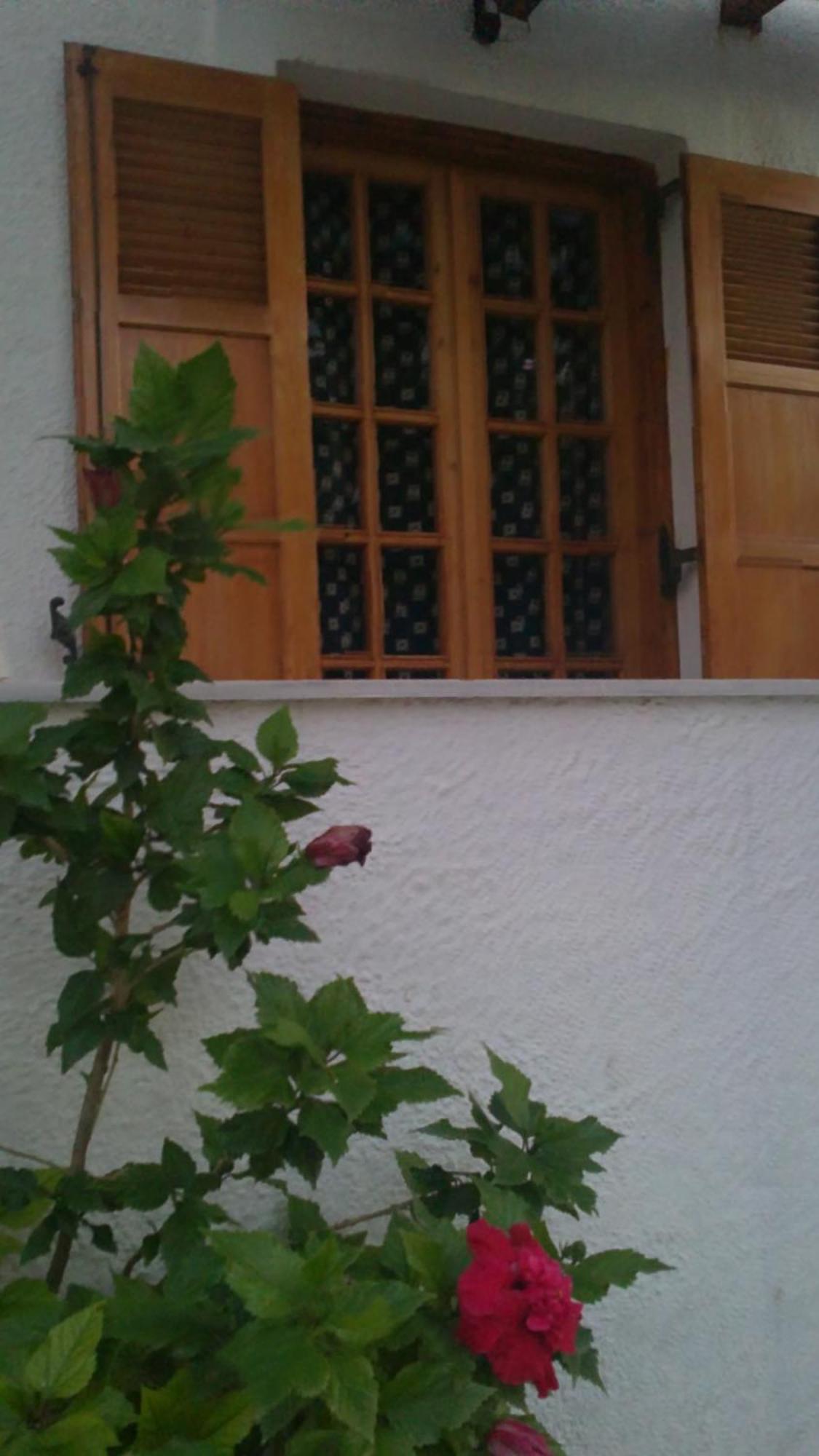 Pantazis Studios Aegina ภายนอก รูปภาพ